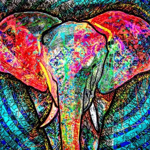 ELEPHANT 01